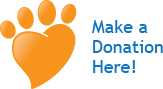 Make a donation here